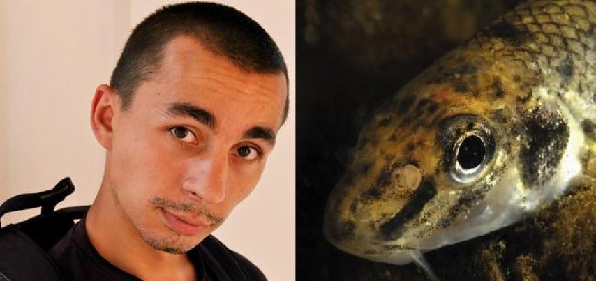 Porcutan_Dan (Small)