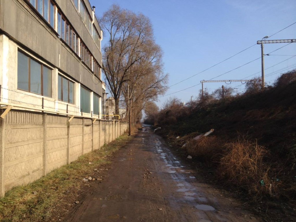 fabrici (Medium)