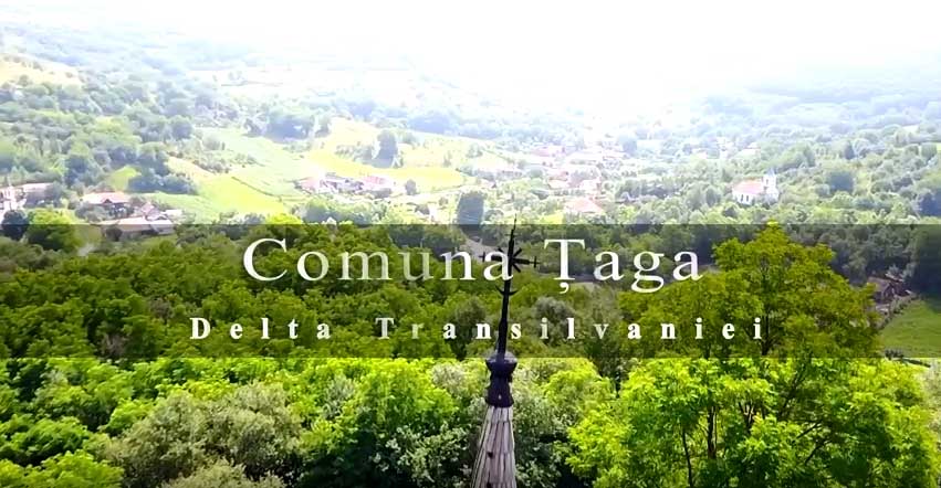 comuna taga delta transilvaniei