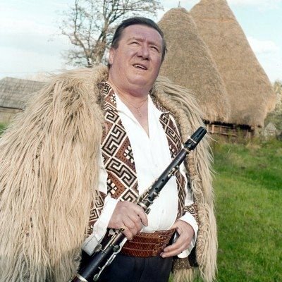 Dumitru Fărcaș a murit