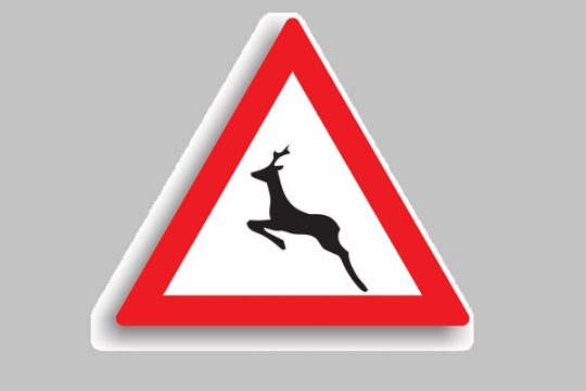 accident rutier