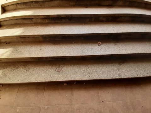 92210075 653254295248814 7166924021739552768 n