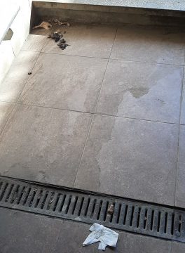 92552992 2316954865271047 9146800539562934272 n