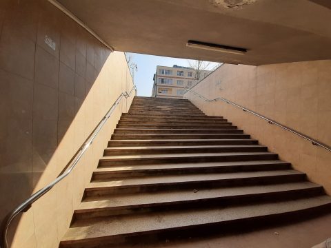 92947272 546666426042626 4444382417884545024 n