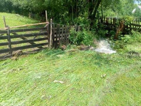 WhatsApp Image 2020 06 26 at 14.52.10 1