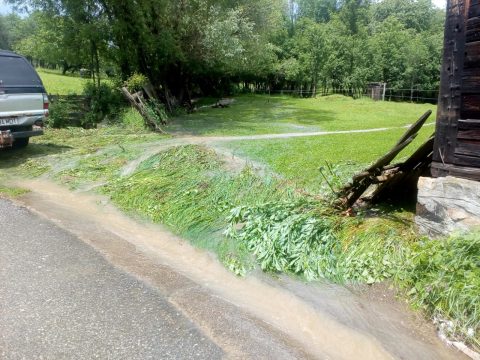 WhatsApp Image 2020 06 26 at 14.52.11 3