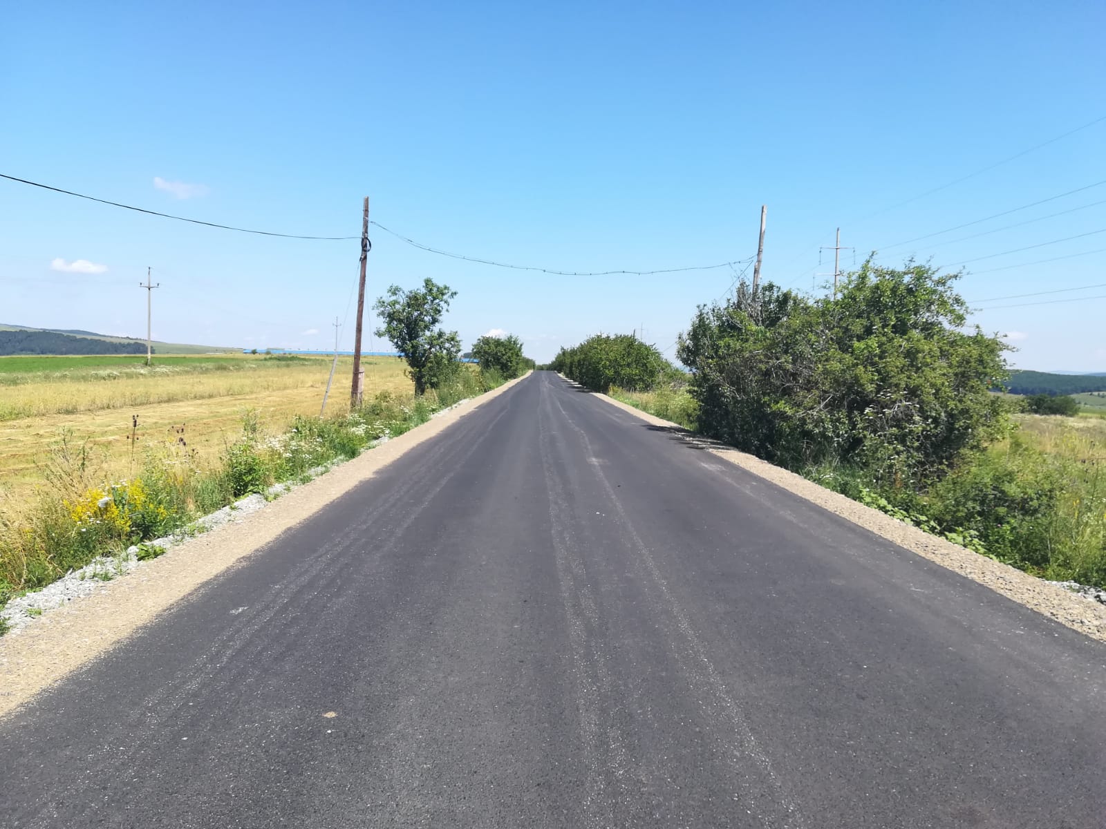 106923956 3076294045817523 3000083722148263515 o