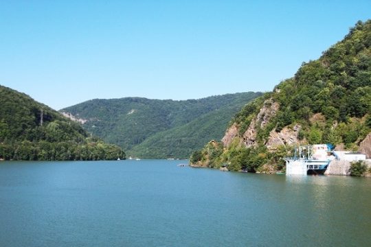 carpathian-gardens.com