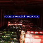 FOTO. DIICOT anunță cea mai mare captură din istorie de „drogul jihadului” și hașiș – aproape 2,5 tone 8 5