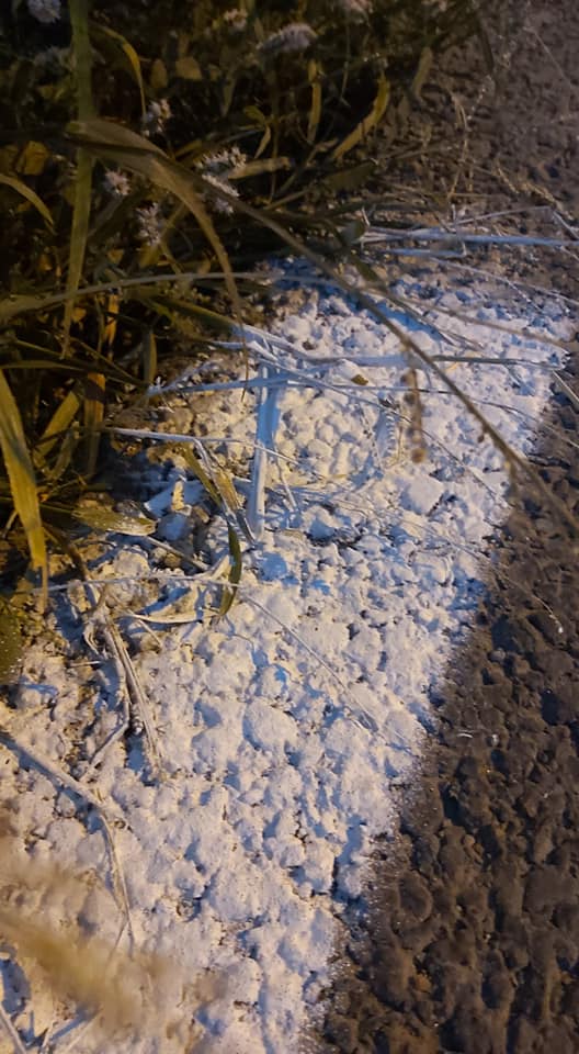 FOTO: S-a vopsit și vegetația pe centura de sud a Floreștiului 1 floresti 3