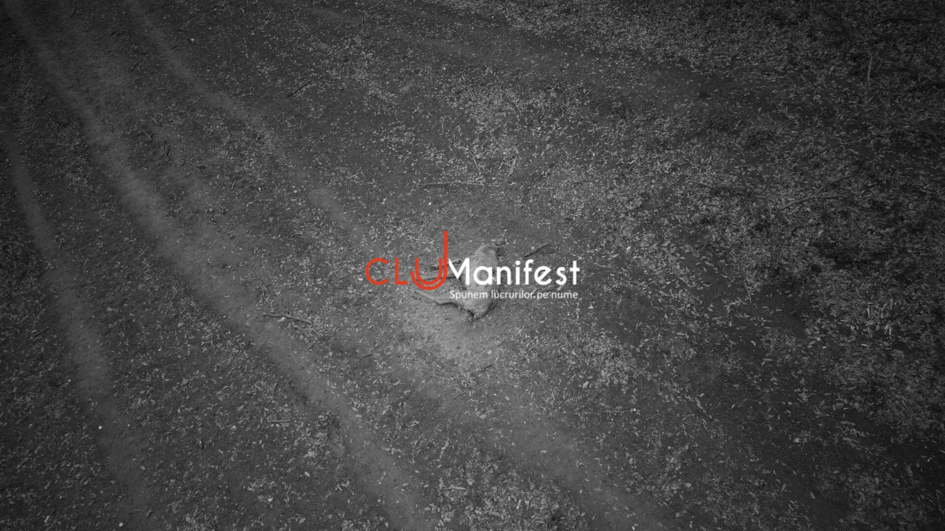 CJManifest WM BW