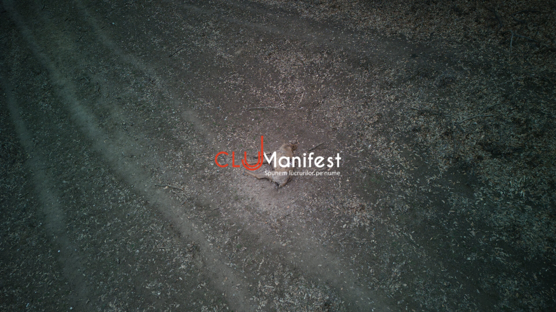 CJManifestWM